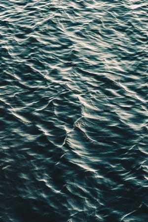 unsplash-image-ZxGdri2EWzk (6)